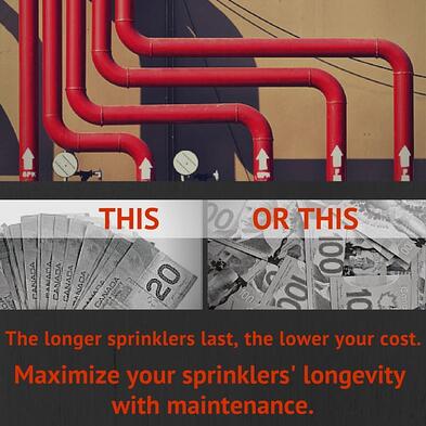 get_better_value_from_your_sprinklers